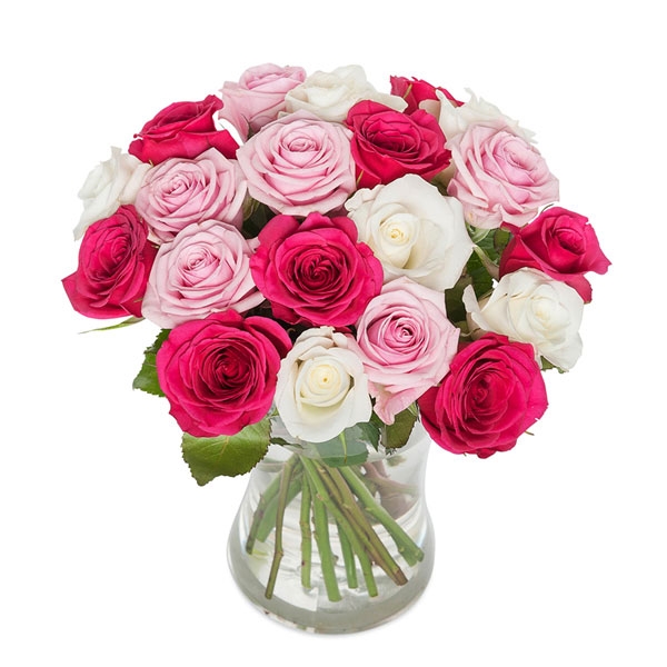 Rosa rosenmix