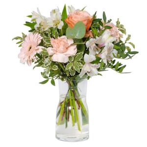 Abrikos blomster